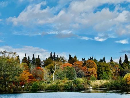 妙高のいもり池と紅葉 鮮やか,自然,秋の写真素材