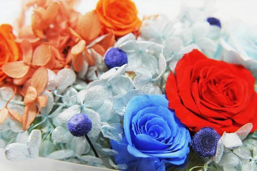 ブリザーブドフラワー ブリザーブドフラワー,プリザーブド加工,保存の写真素材