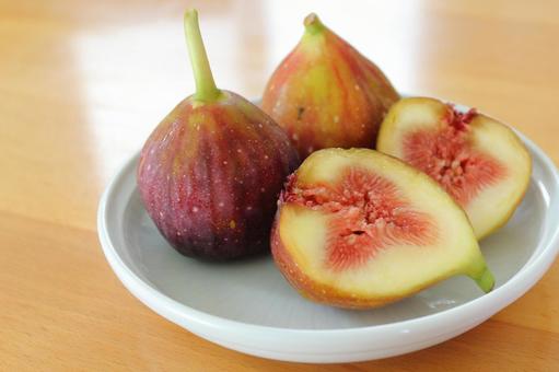 イチジク イチジク,いちじく,無花果の写真素材