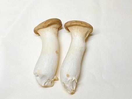 エリンギ エリンギの写真