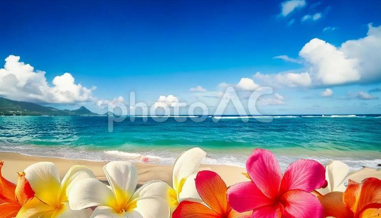 プルメリアやハイビスカスの背景 ハイビスカス,プルメリア,花の写真素材