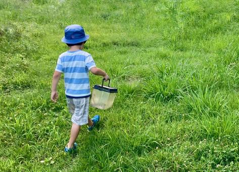 虫取り少年の夏休み・草むらで虫を捕まえる 虫取り少年の夏休み・草むらで虫を捕まえる 虫取り,子供,草むらの写真素材