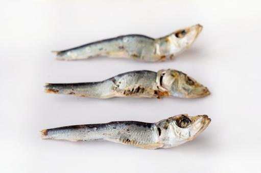 煮干し 煮干し 煮干し,調味料,食材の写真素材
