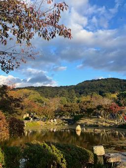 円山公園 円山公園,公園,京都府の写真素材