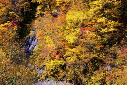 天人峡の紅葉 天人峡,天人峡温泉,北海道の写真素材