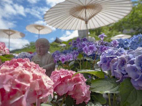 紫陽花とお地蔵さん 紫陽花とお地蔵さん 紫陽花,カラフル,花の写真素材
