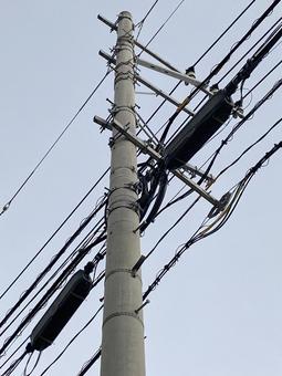 電柱電線7179 電柱電線7179の写真