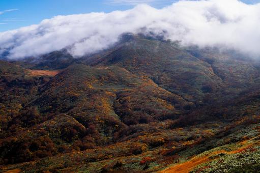 栗駒山 黄金色の草原と紅葉 秋,紅葉,黄葉の写真素材