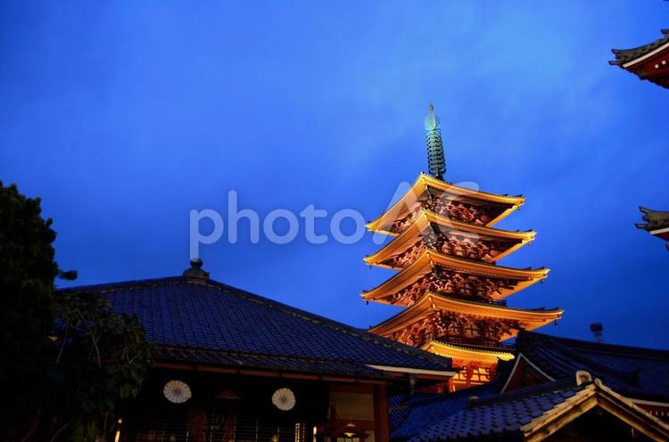 浅草寺五重塔のライトアップ 五重塔,浅草,下町の写真素材