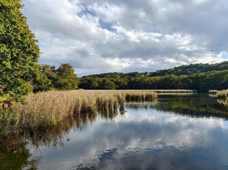 秋風のささやき 湖,自然,風景の写真素材