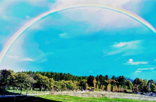 秋の空の虹 虹,レインボー,青空の写真素材