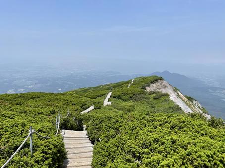 鳥取大山木道 鳥取大山木道 山,海,風景の写真素材