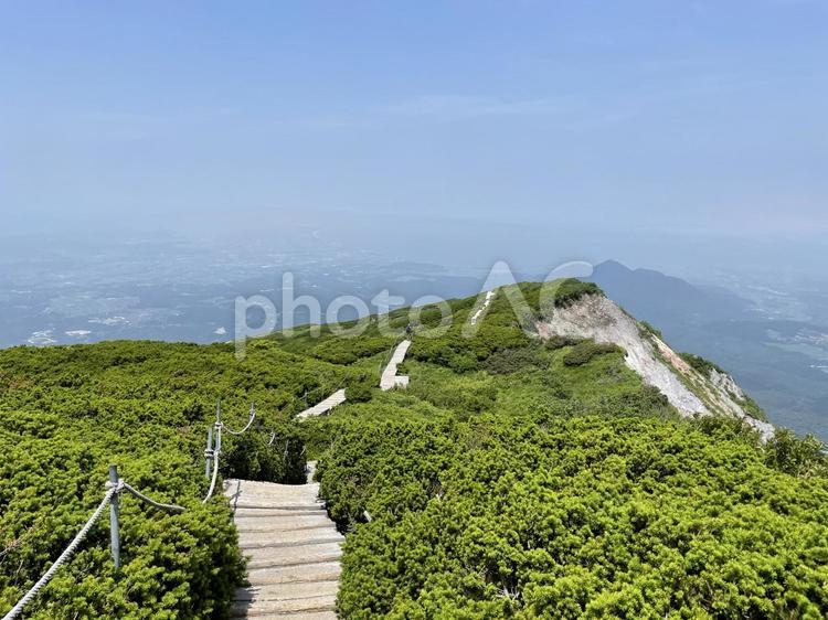 鳥取大山木道 山,海,風景の写真素材