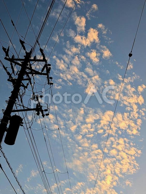 秋らしい雲が出始めた立秋の日の空 青空,空,雲の写真素材