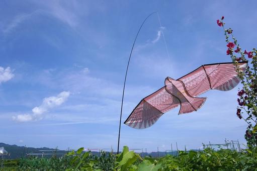鳥よけカイト(鷹)10 鳥よけカイト(鷹)10の写真