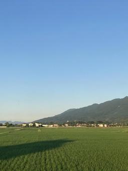 青と緑のグラデーション（縦）の写真