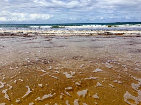 海のグラデーション 海のグラデーションの写真