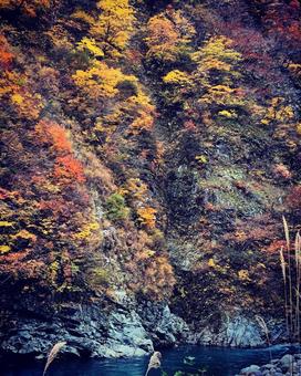 紅葉と川 紅葉と川の写真