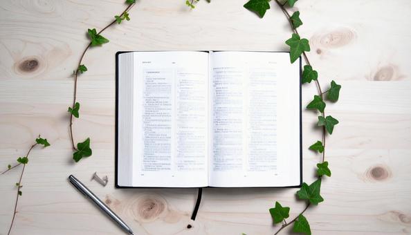 英語の勉強 英語の辞書 アイビー ペン 英語の勉強 英語の辞書 アイビー ペンの写真