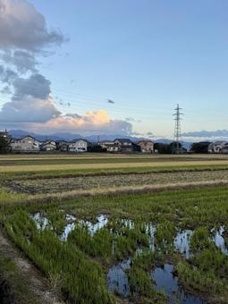 晩秋の田舎の夕暮れ　福井県あわら市 冬,地方,晴れの写真素材