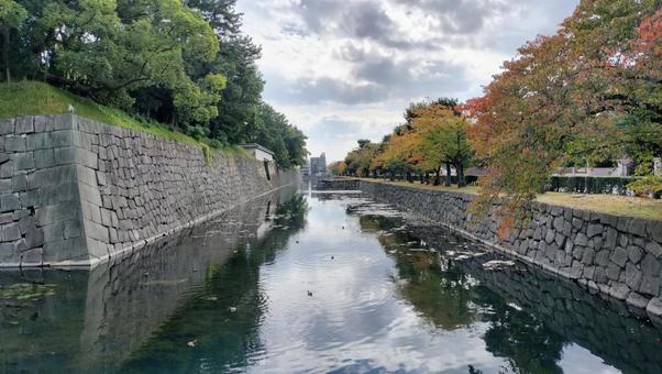 京都 城 京都,城,二条城の写真素材