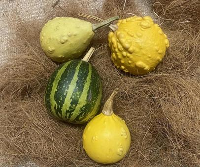 果実　スイカ　洋梨 果実,スイカ,梨の写真素材