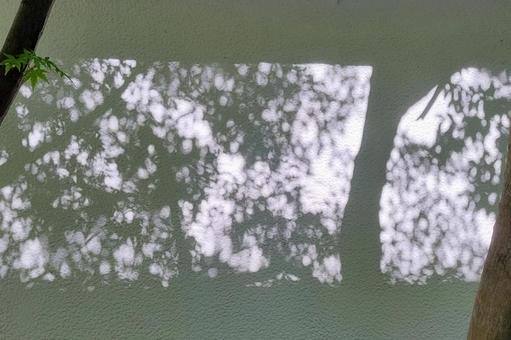 影 影 木漏れ日,影,影絵の写真素材