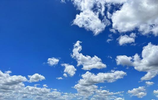 夏空 夏空の写真