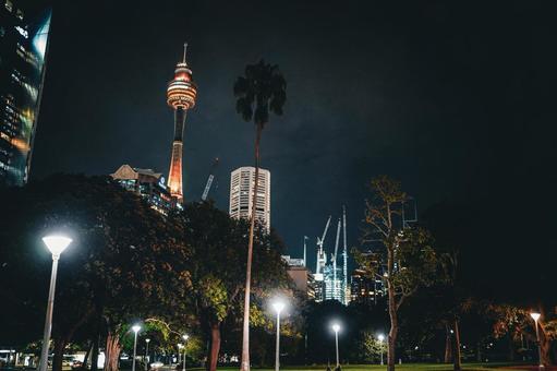 シドニータワーがある風景 シドニータワーがある風景 タワー,クレーン,夜景の写真素材
