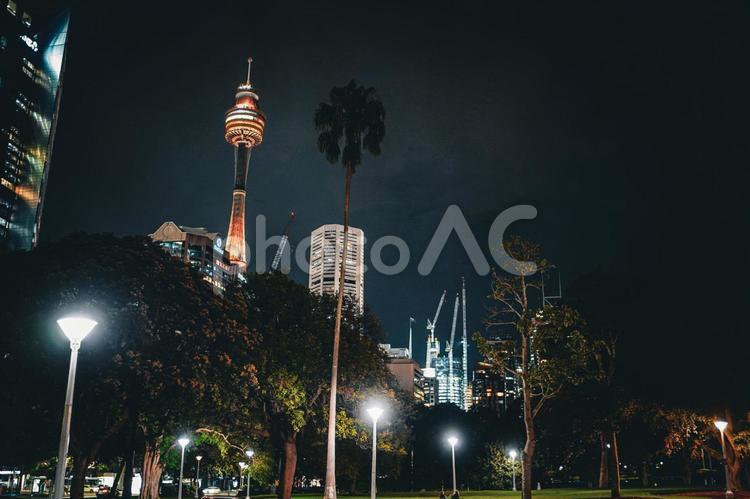 シドニータワーがある風景 タワー,クレーン,夜景の写真素材