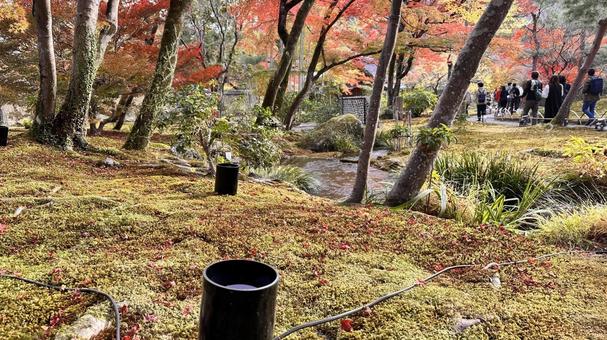 Autumn in Arashiyama, Kyoto 5, JPG Autumn in Arashiyama, Kyoto 5, JPG