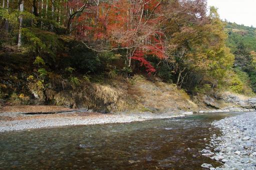 多摩川上流部（鳩ノ巣と古里の間）の写真