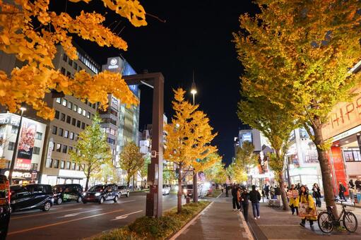 御堂筋・イルミネーション ライトアップ,幻想的な,イルミネーションの写真素材