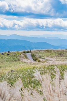 四国地方　四国カルスト台地の風景 カルスト台地,四国,四国地方の写真素材