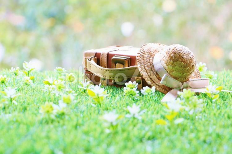 春にはどこへ行こう？ 春,花,旅行カバンの写真素材