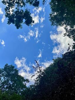 山から見た空 山から見た空の写真