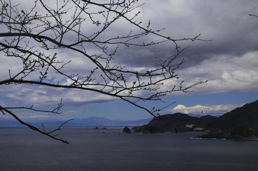 西伊豆の素晴らしい景色 西伊豆の素晴らしい景色 景色,素晴らしい,西伊豆の写真素材