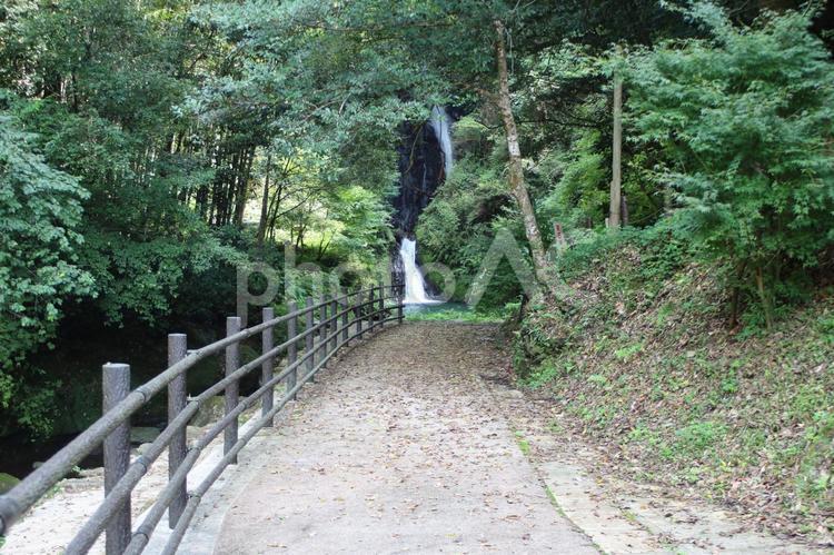 山奥の滝 滝,自然,岩の写真素材