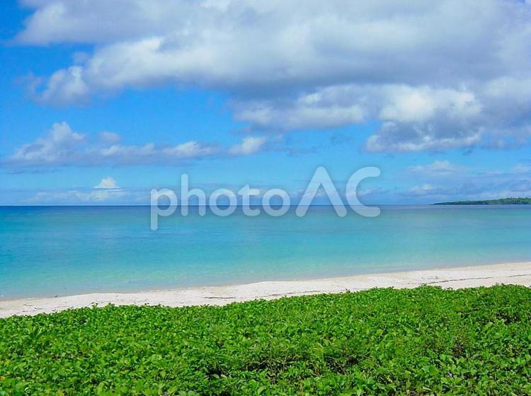 沖縄本島　崎本部の海岸 ビーチ,ブルー,南国の写真素材