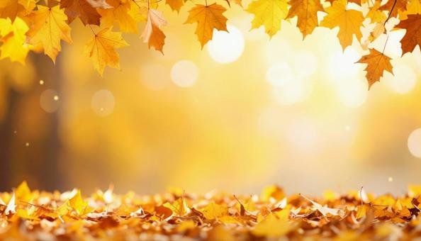 秋のイメージの背景画像　紅葉　野原の写真