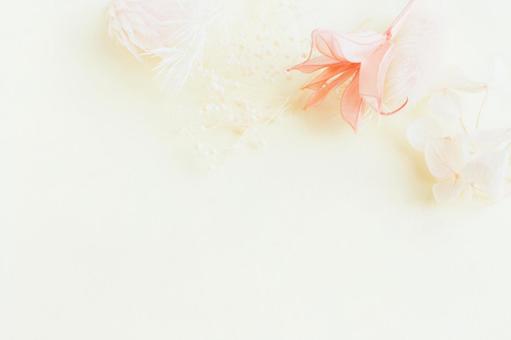 花の背景 花の背景 白,きれい,ピンクの写真素材