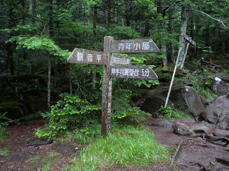 編笠山への登山道 八ヶ岳,編笠山,観音平の写真素材