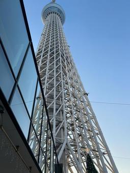 スカイツリー 俯瞰 スカイツリー 俯瞰 東京,スカイツリー,建物の写真素材