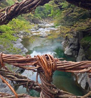 祖谷のかずら橋 祖谷のかずら橋の写真