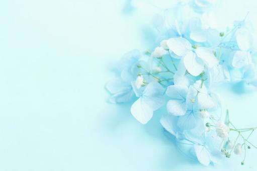 青い花の背景の写真