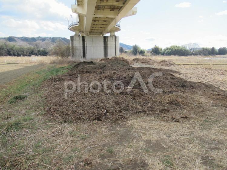 自由に持ち帰れる大橋下ストックヤード 枯れ木,枯れ葉,枯れ枝の写真素材