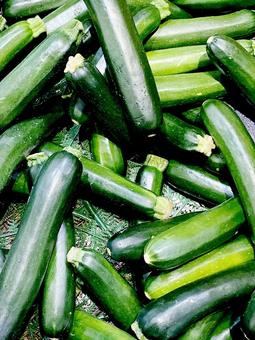 野菜・ズッキーニ 野菜・ズッキーニの写真