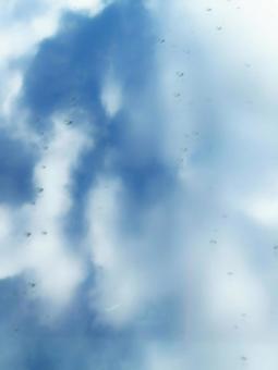 Photo, water droplets, rain, window, 