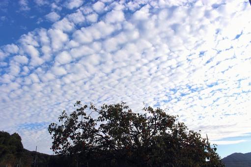 空と雲 空と雲の写真