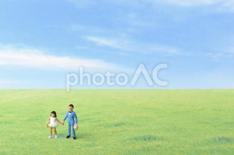 青空と草原とミニチュアの兄妹 コピースペース,ビジネス,ミニチュアの写真素材